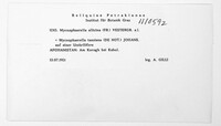 Image Associated With the Occurrence